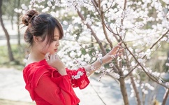 免费看美女禁处爆涌视频